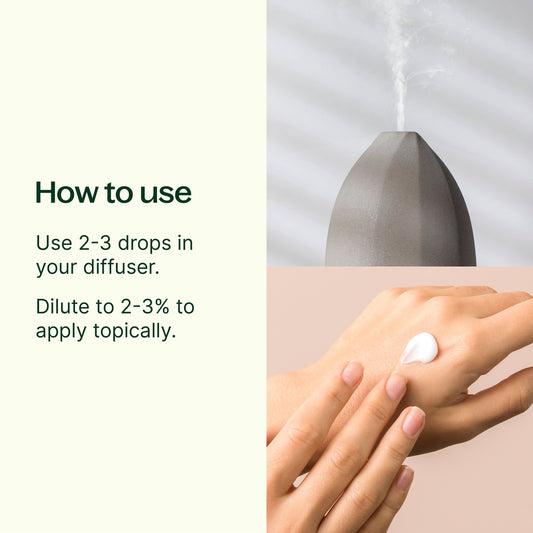 Blissful Dreams Essential Oil