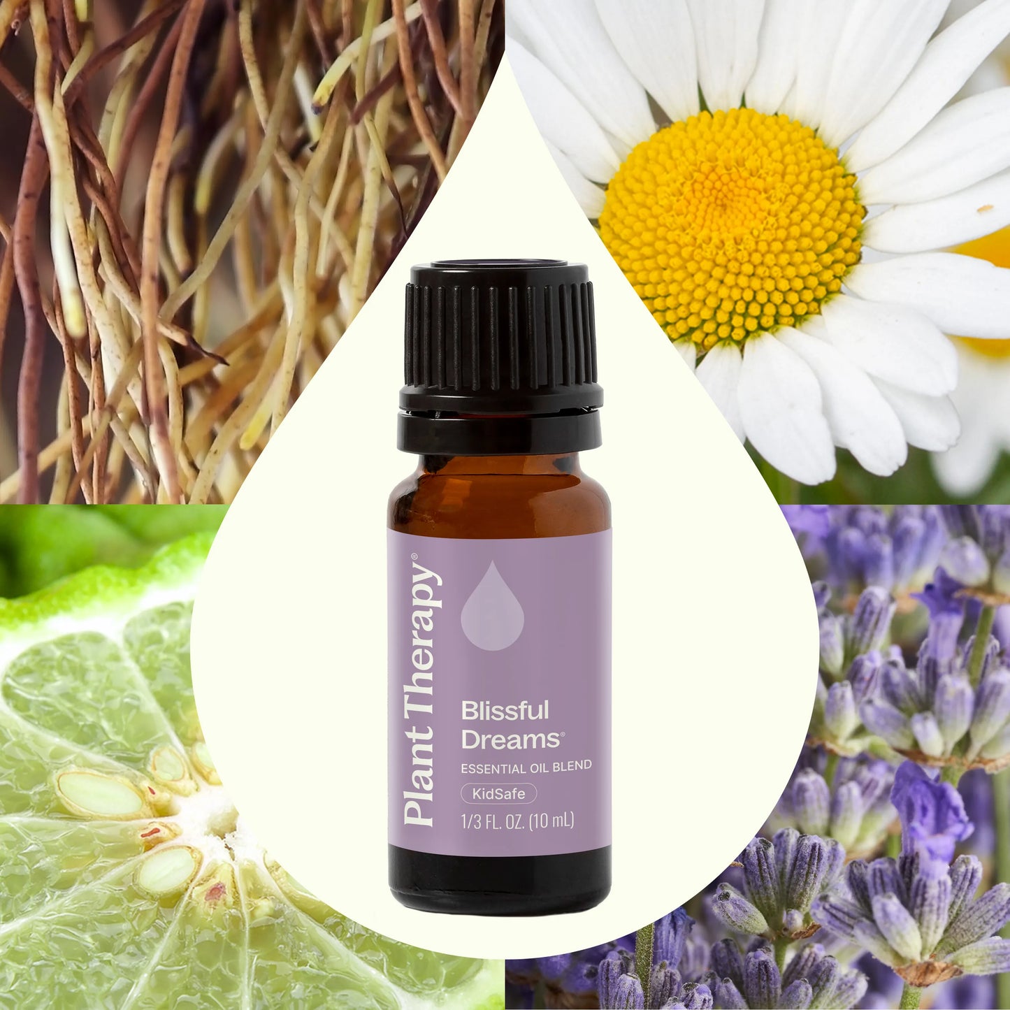 Aceite esencial Blissful Dreams