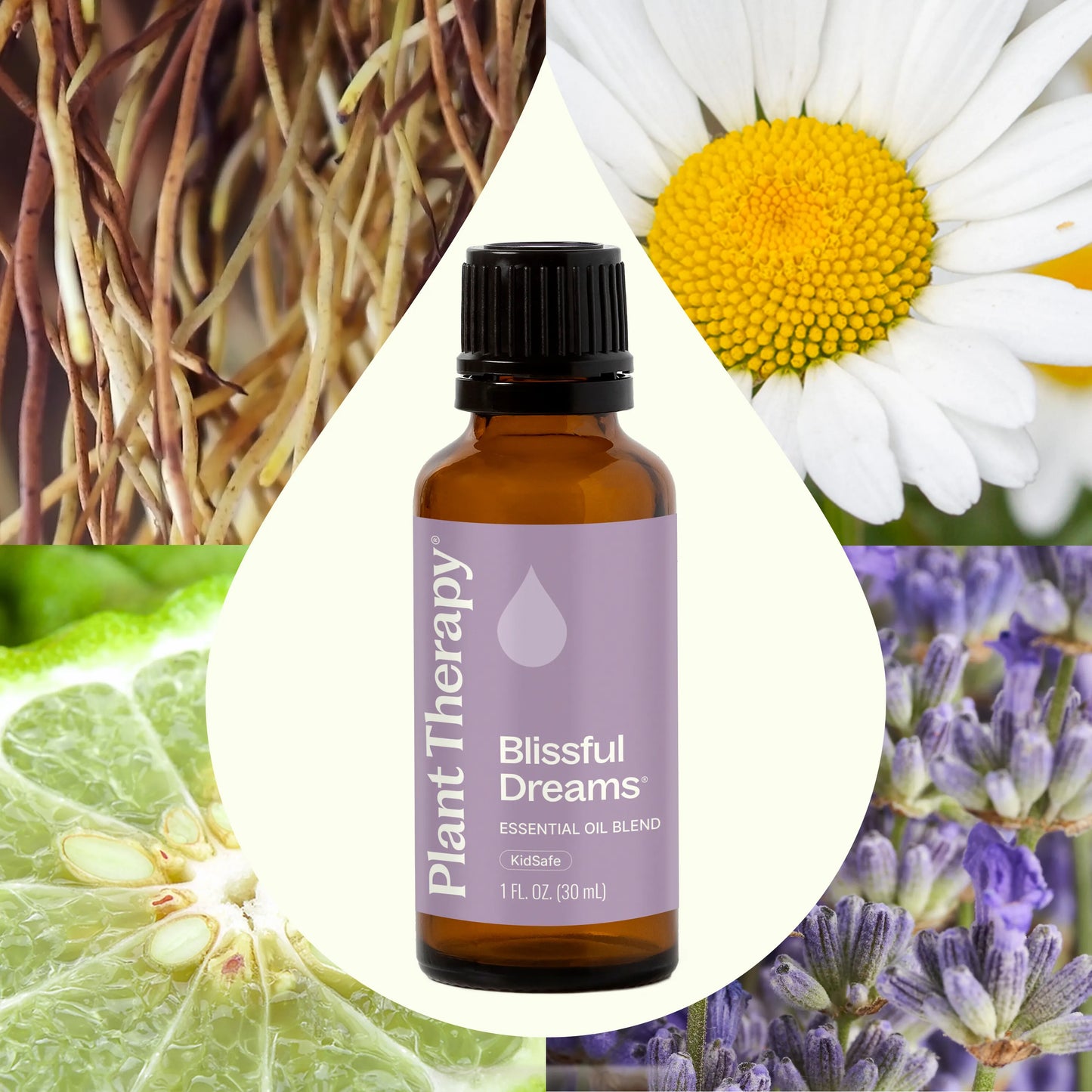 Aceite esencial Blissful Dreams
