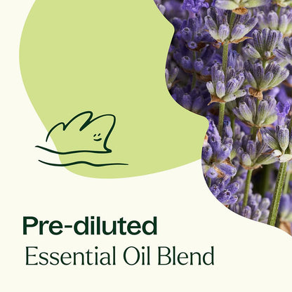 Aceite esencial prediluido Blissful Dreams Roll-On