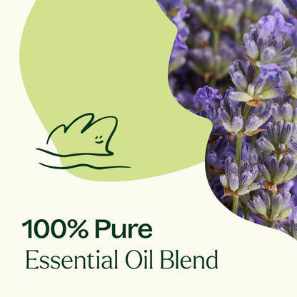 Aceite esencial Blissful Dreams