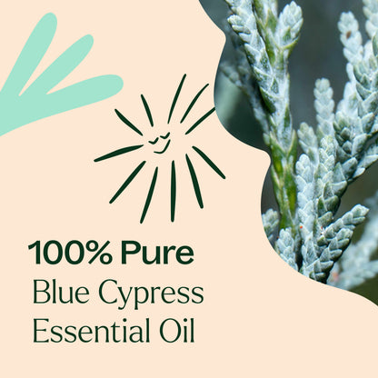 Aceite esencial de ciprés azul