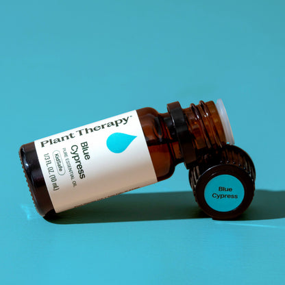 Aceite esencial de ciprés azul