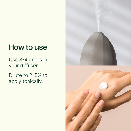 Brain Aid Essential Oil Blend