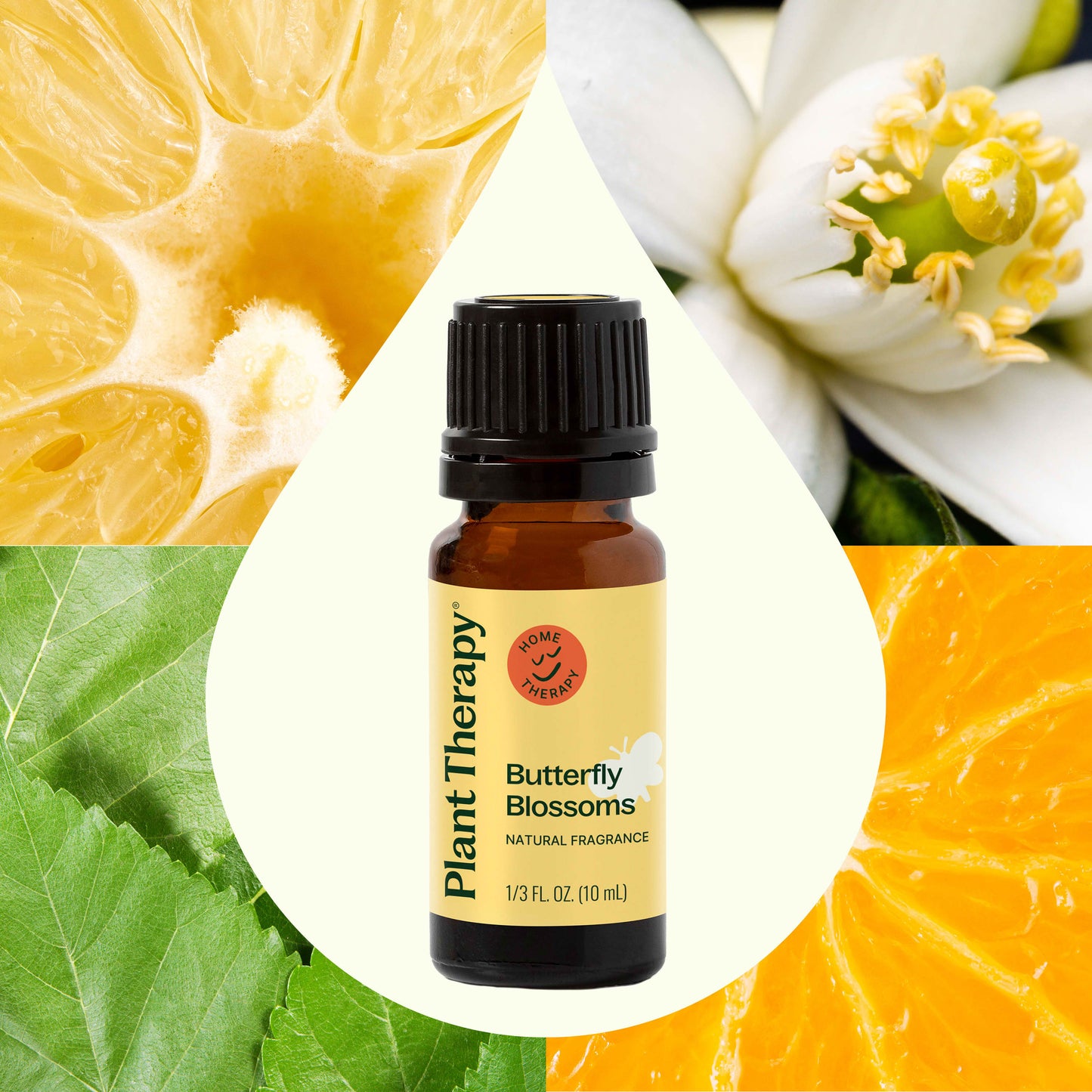 Butterfly Blossoms Natural Fragrance