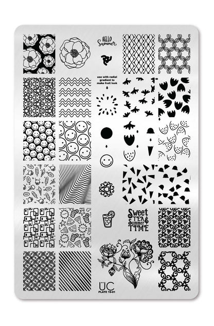 Collection 19