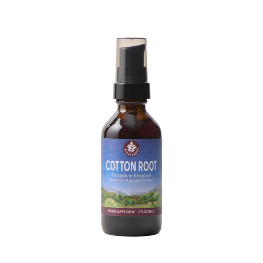 Cotton Root
