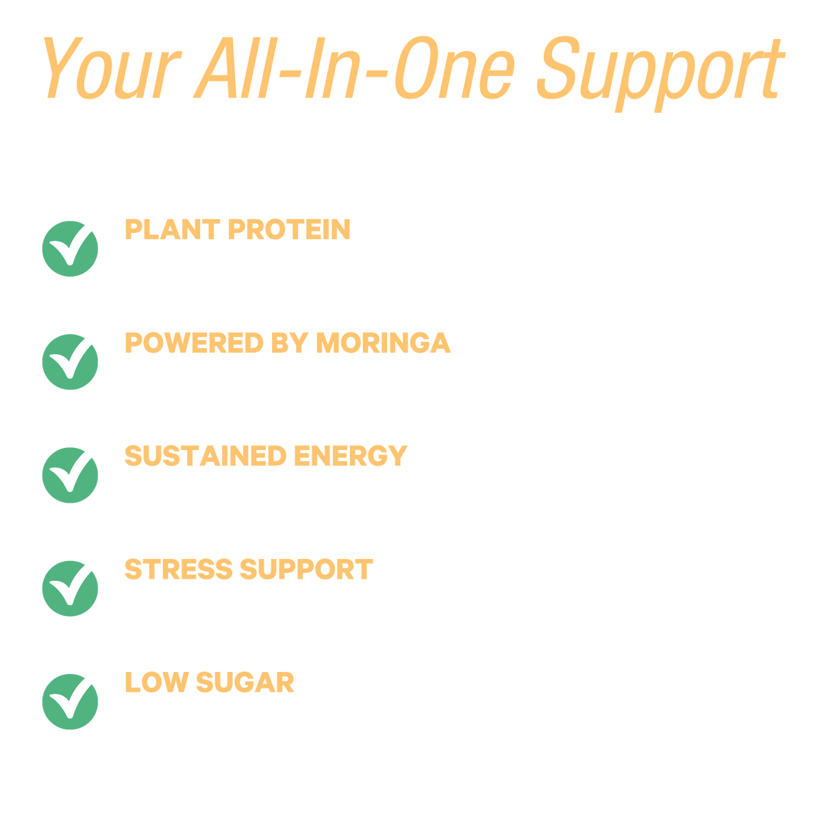 Energy Shake with Plant Protein (Chocolate Peanut Butter)
