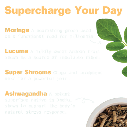 Energy Shake with Plant Protein (Chocolate Peanut Butter)