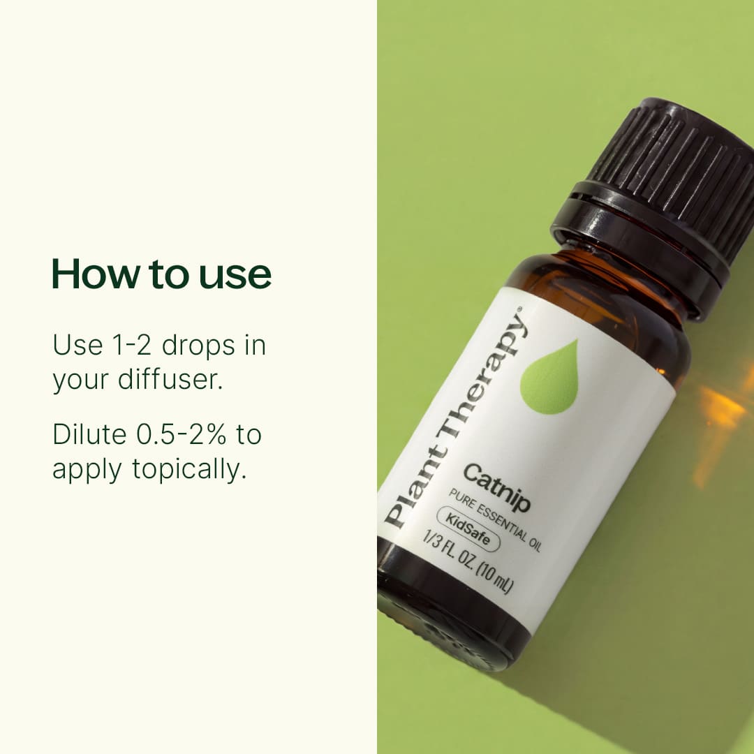 Aceite esencial de hierba gatera