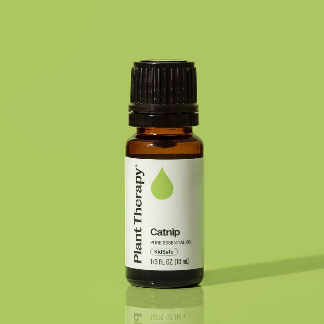 Aceite esencial de hierba gatera