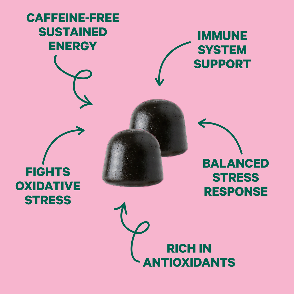 Chaga & Moringa Gummies for Balance