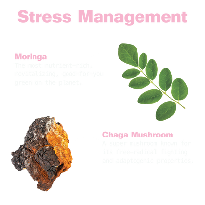 Chaga & Moringa Gummies for Balance