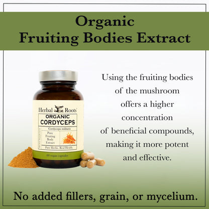 Organic Cordyceps Mushroom