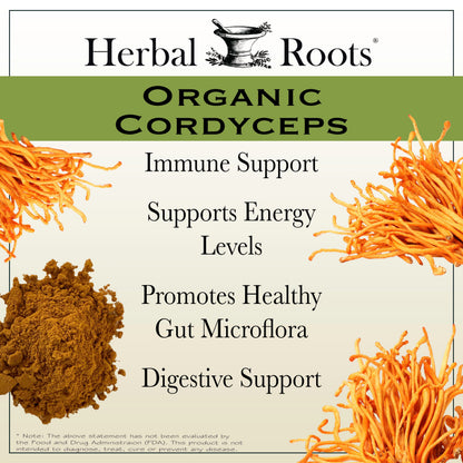Organic Cordyceps Mushroom