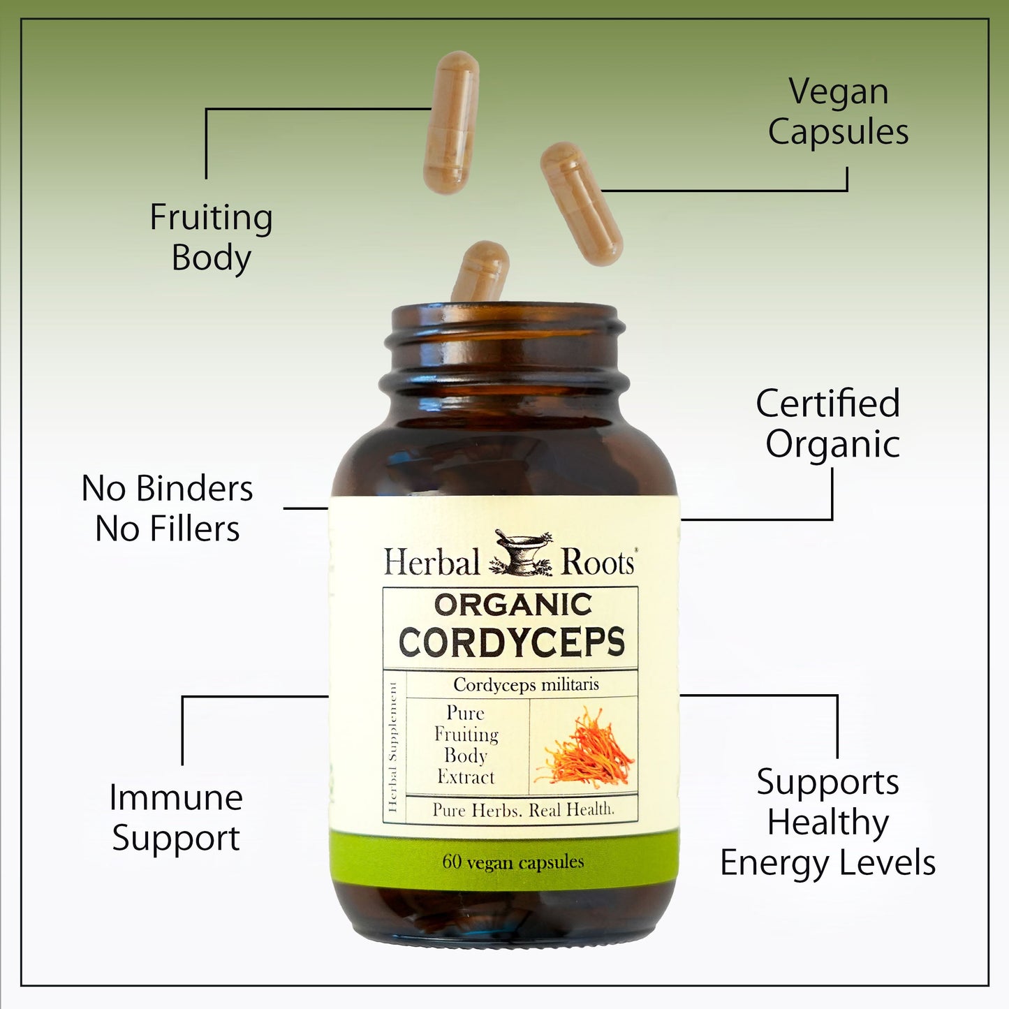 Organic Cordyceps Mushroom