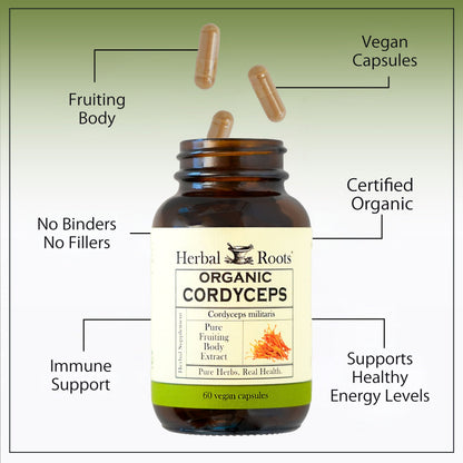 Organic Cordyceps Mushroom