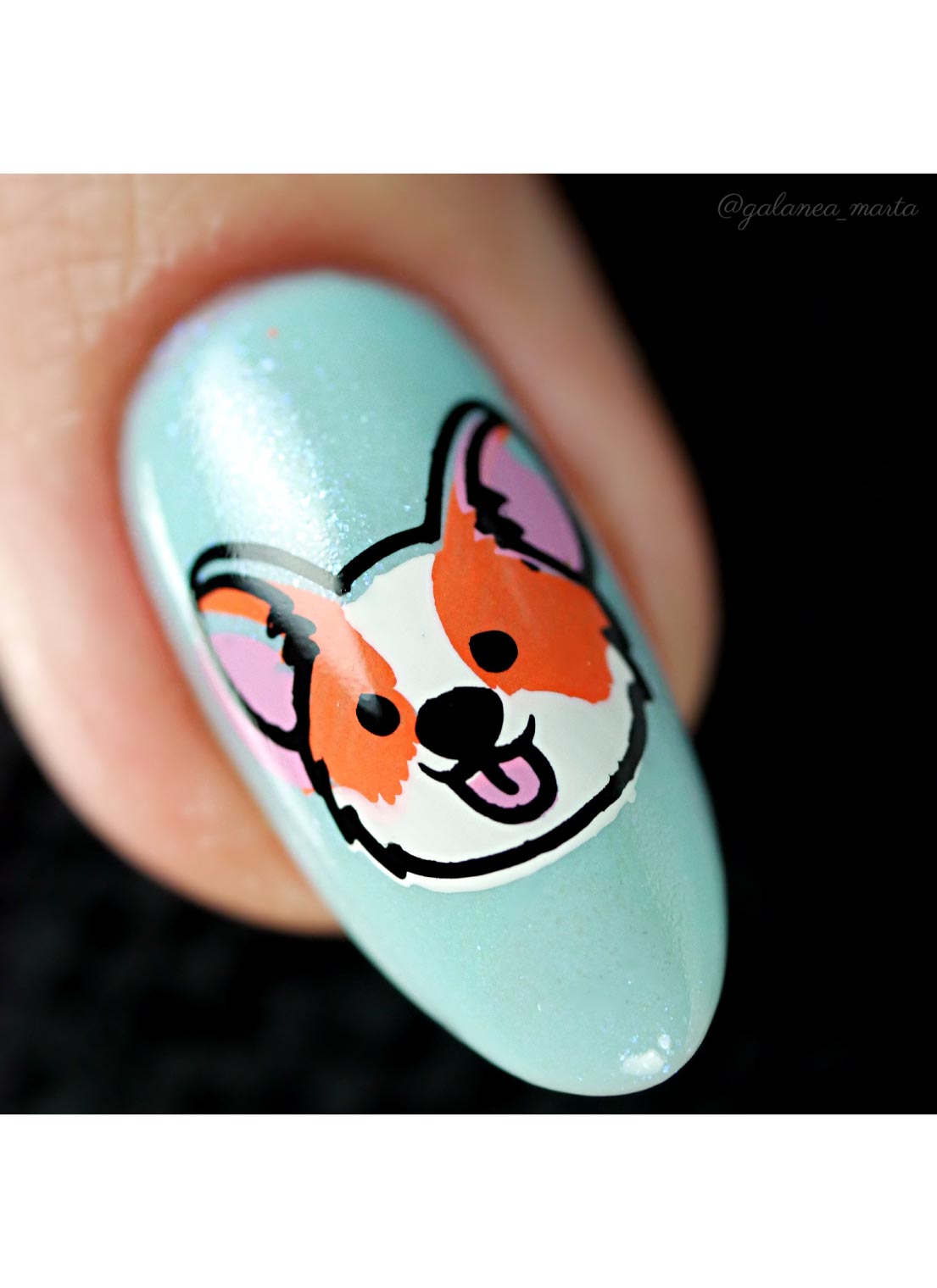 Corgi Love