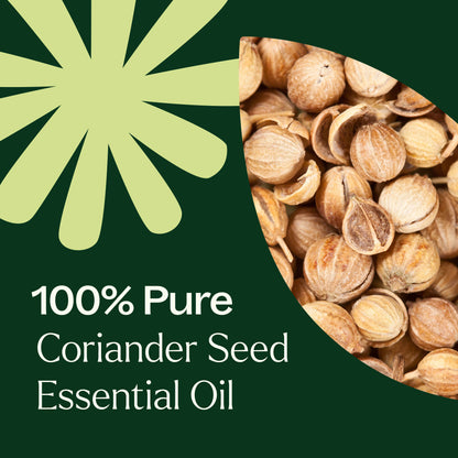 Coriander Seed Essential Oil