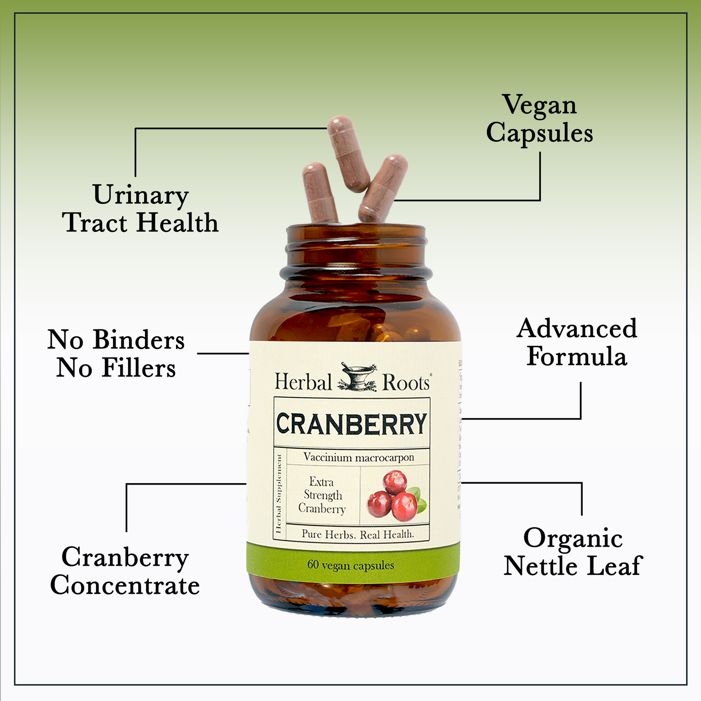 Cranberry with Nettle