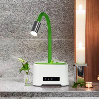 Lumin Aromatherapy Essential Oil Diffuser with Lamp Gift Set: Illuminate Your Space with Tranquil Scents | ZAQ