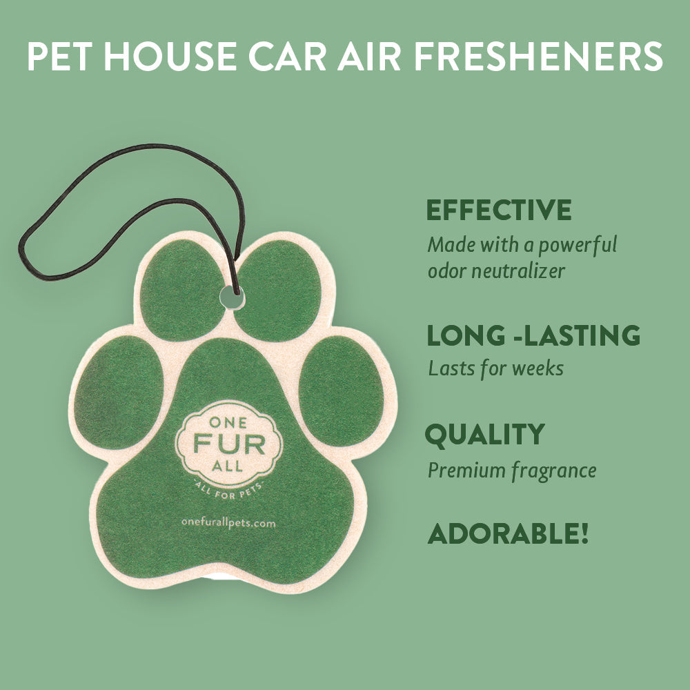 Cucumber Mint Car Air Freshener