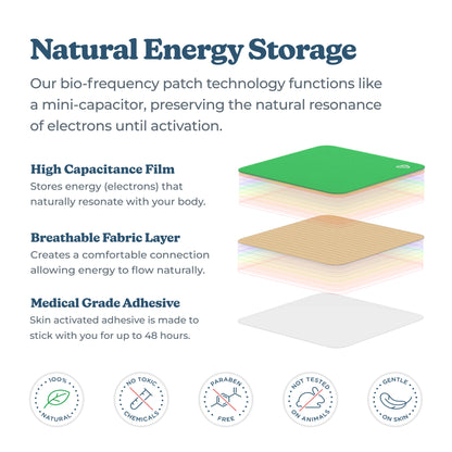 Stay Focused (Sample)