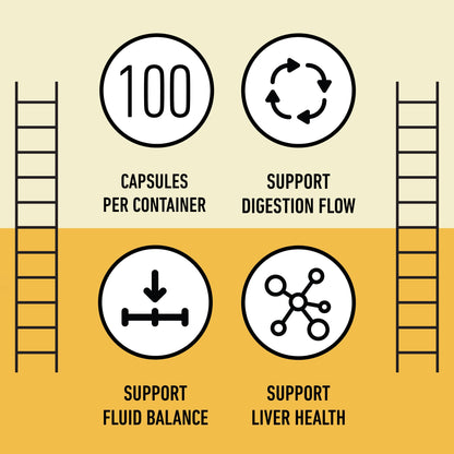 Organic Dandelion Capsules