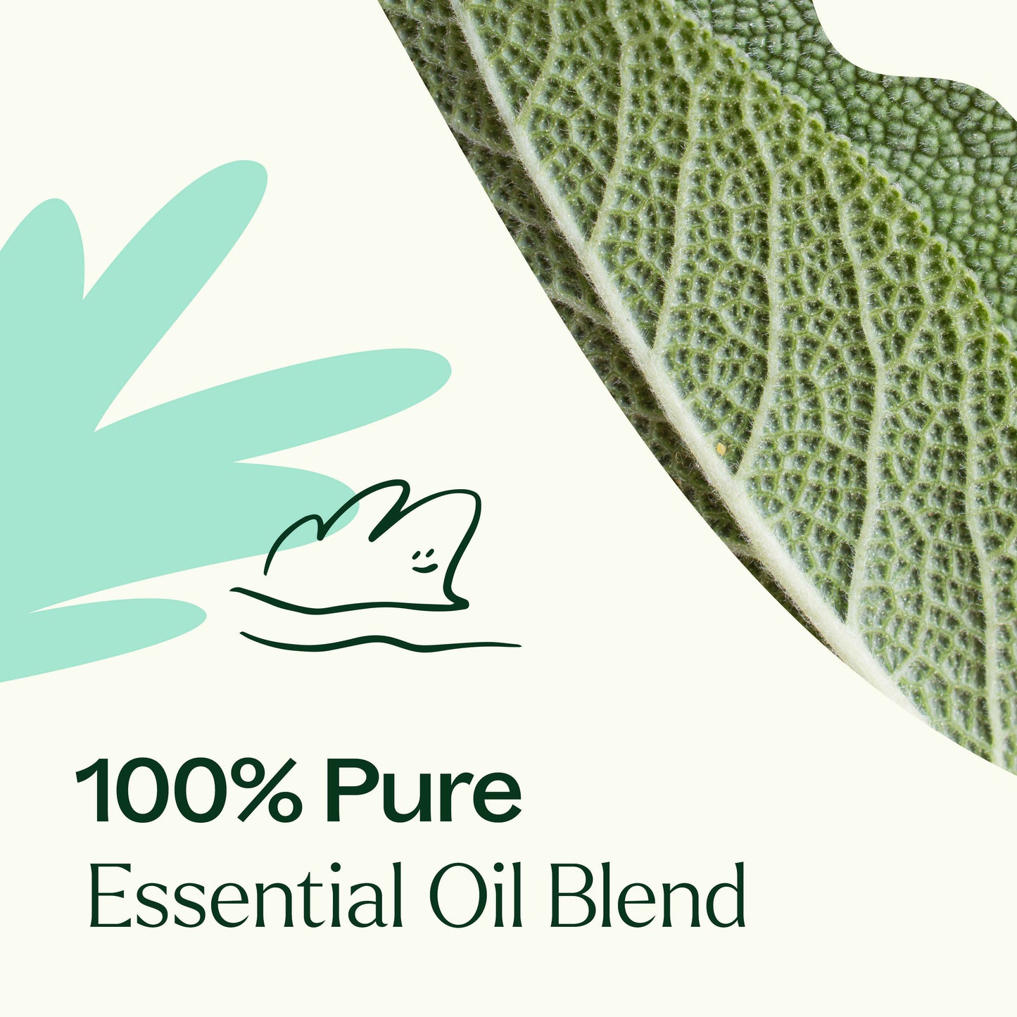 Desert Sage Essential Oil Blend