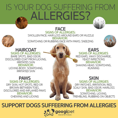 Friandises à Mâcher pour Chiens (Goût Beurre de Cacahuète) – Soutien Allergies & Immunité