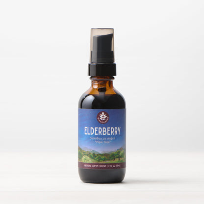 Elderberry
