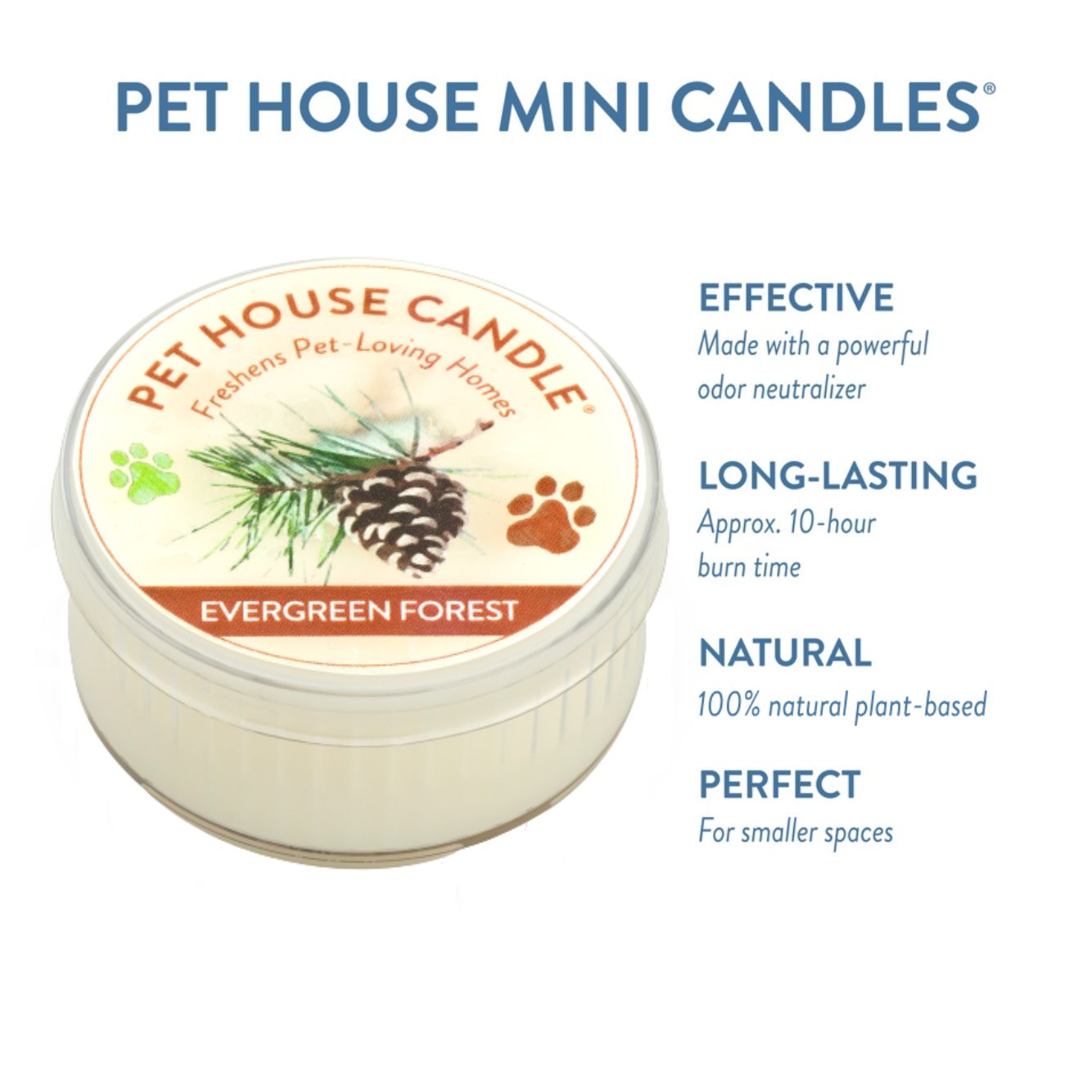 Evergreen Forest Mini Candle