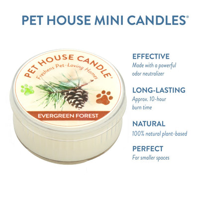 Evergreen Forest Mini Candle