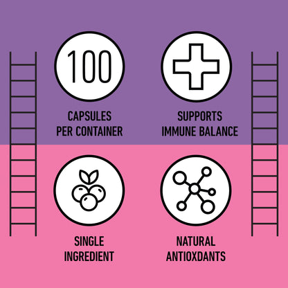 Organic Elderberry Capsules