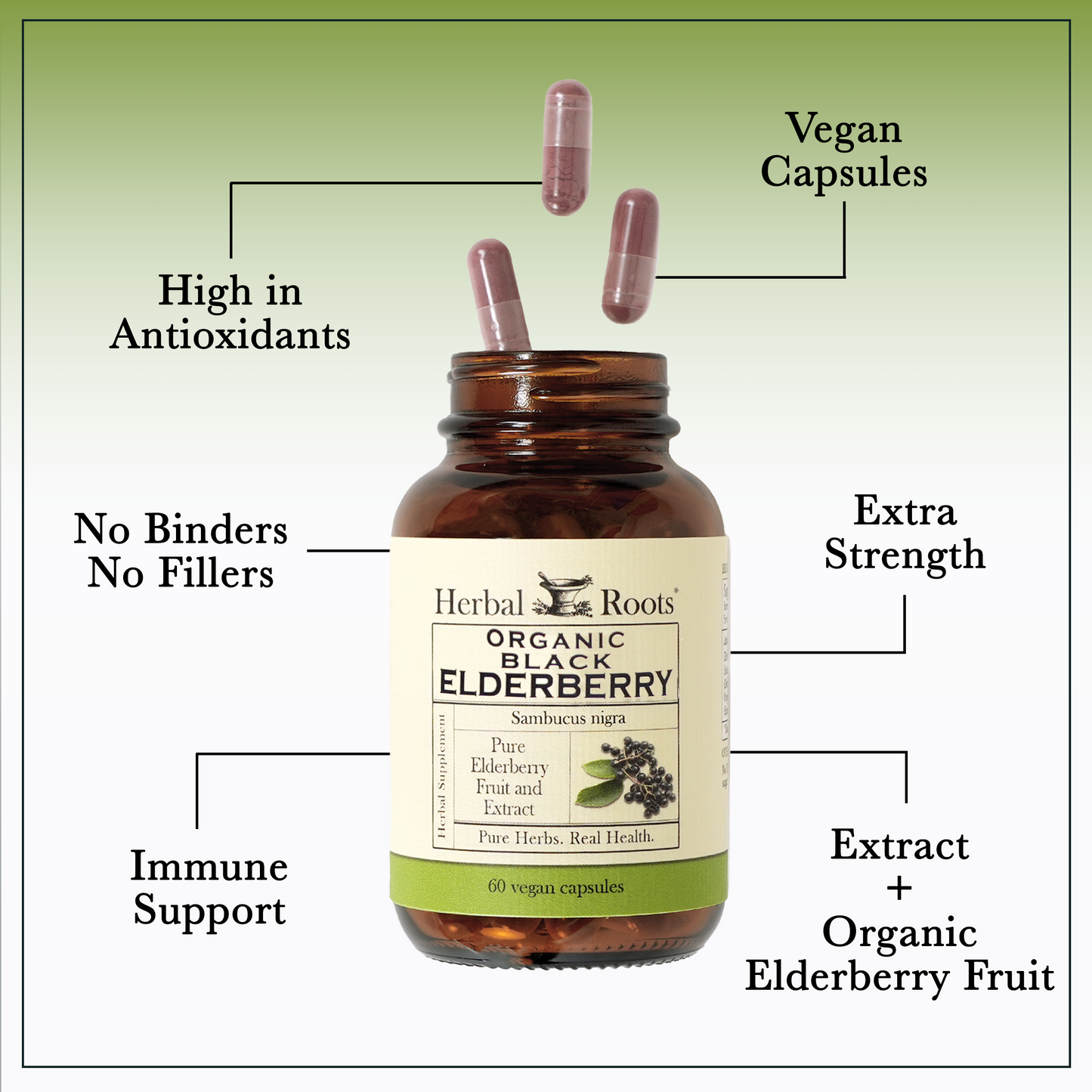 Organic Black Elderberry