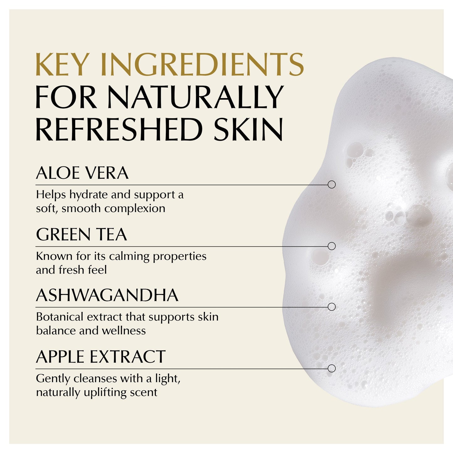 Gentle Foaming Facial Cleanser – Aloe, Apple & Ashwagandha for All Skin Types