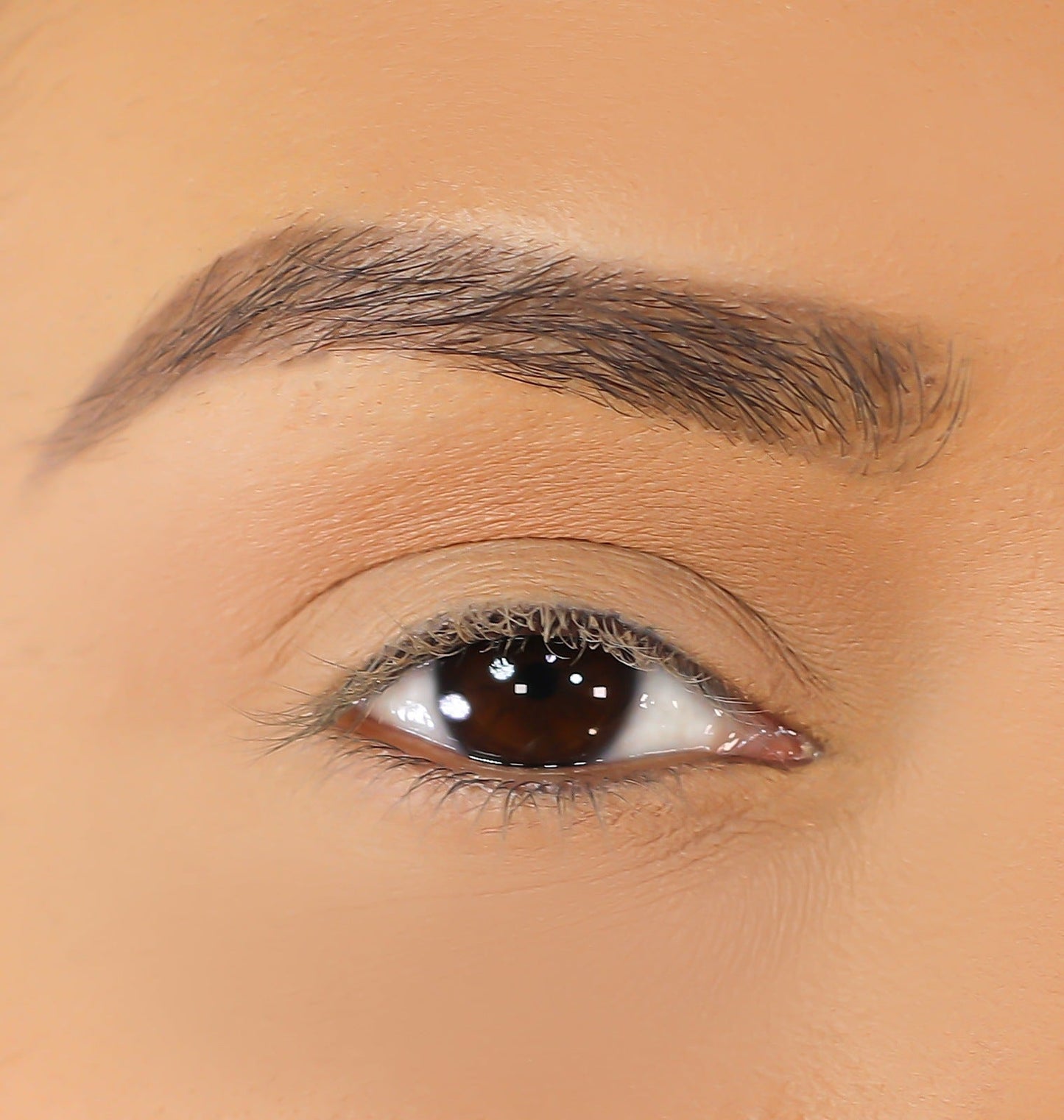 3D Mink Eyelashes - Alexis