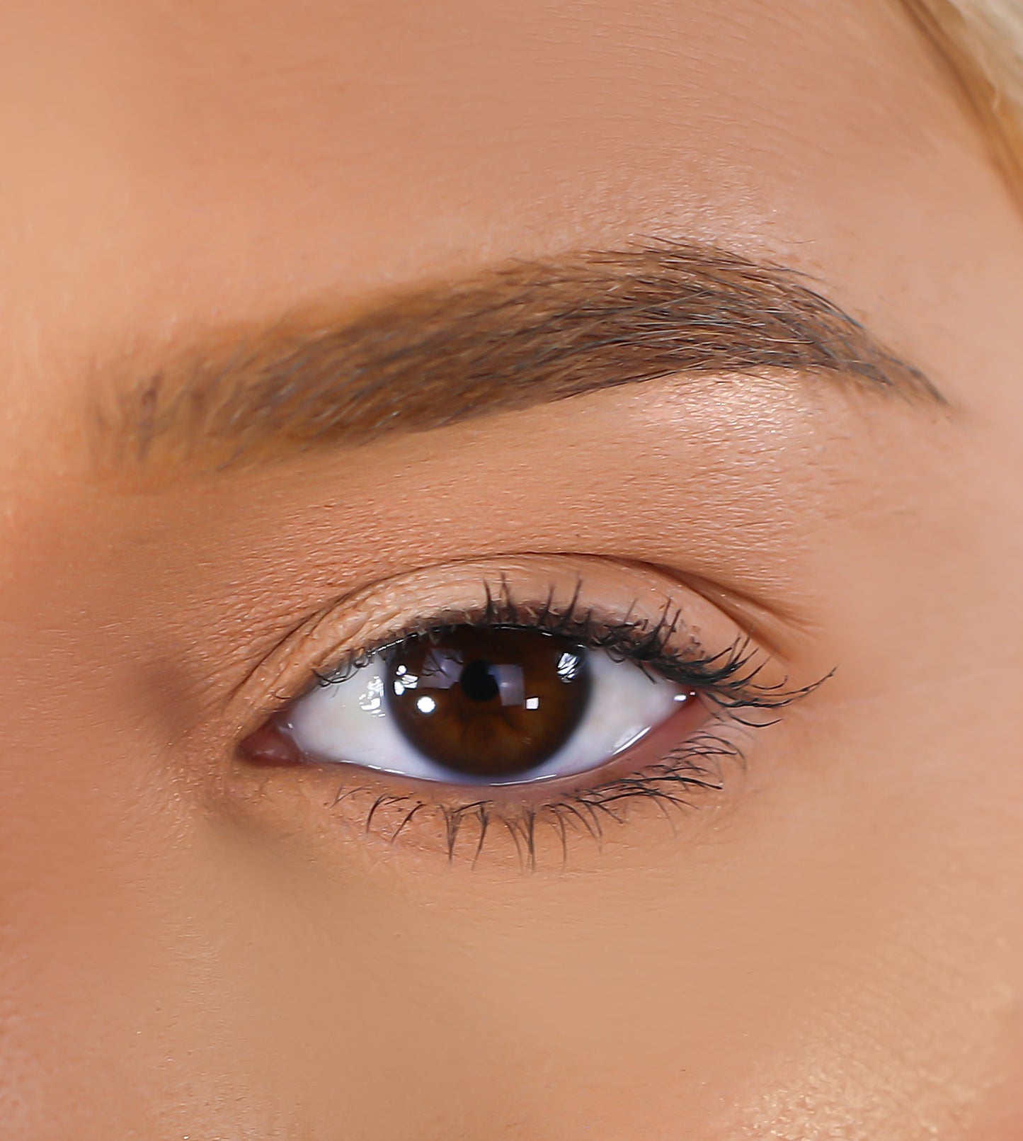 3D Mink Eyelashes - Que