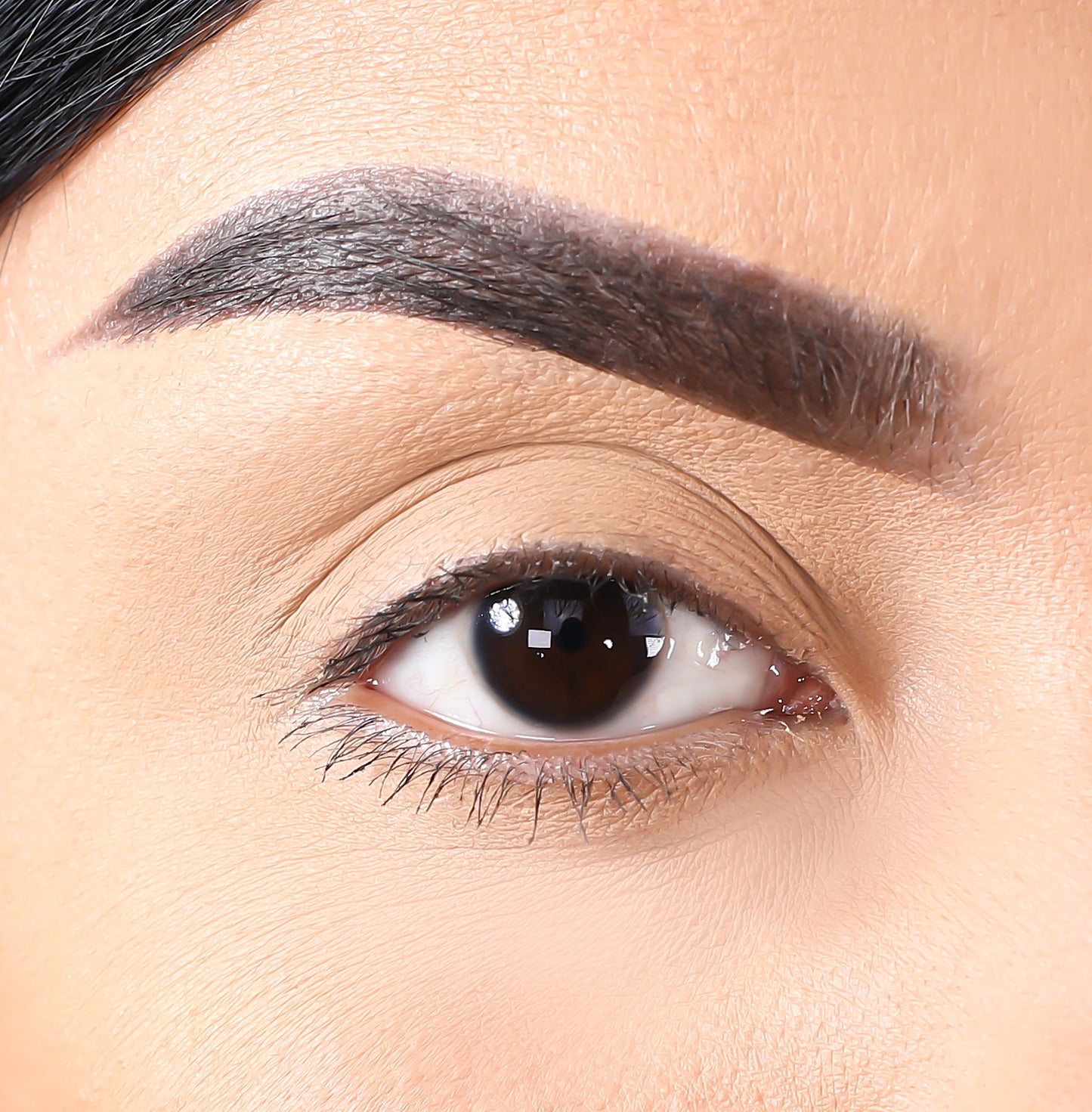 3D Mink Eyelashes - Shelby