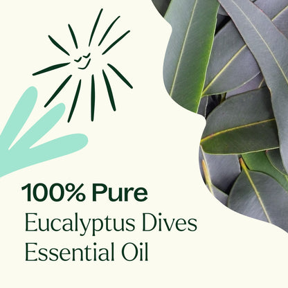 Aceite esencial de eucalipto Dives