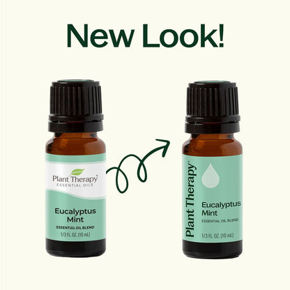 Eucalyptus Mint Essential Oil Blend