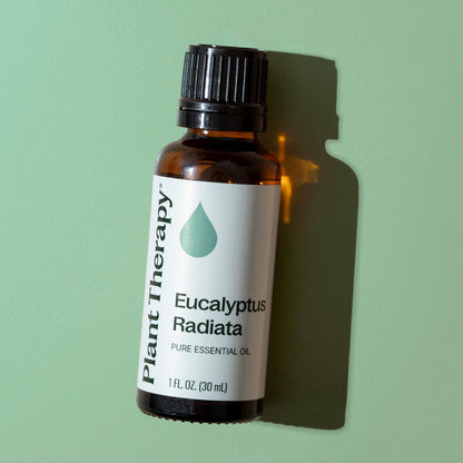 Eucalyptus Radiata Essential Oil