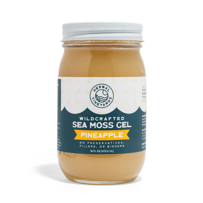 EXCLUSIVE PINEAPPLE SEA MOSS GEL