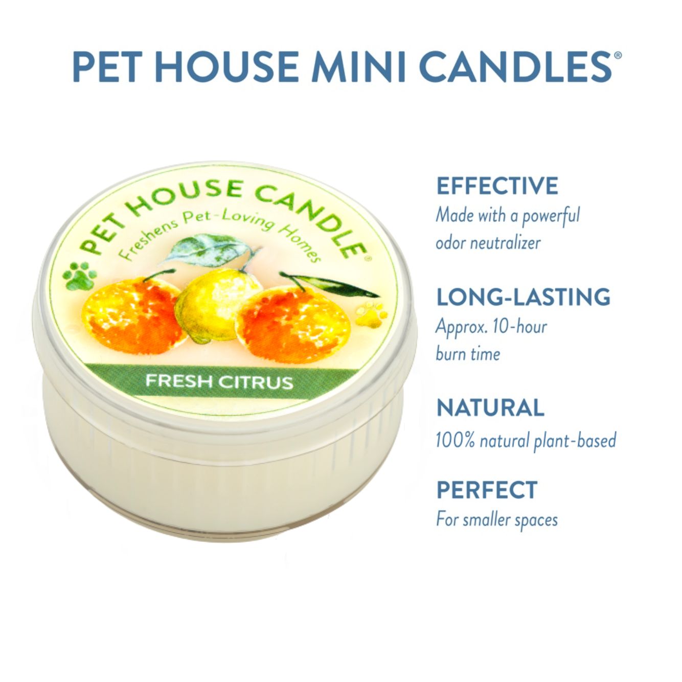 Fresh Citrus Mini Candle