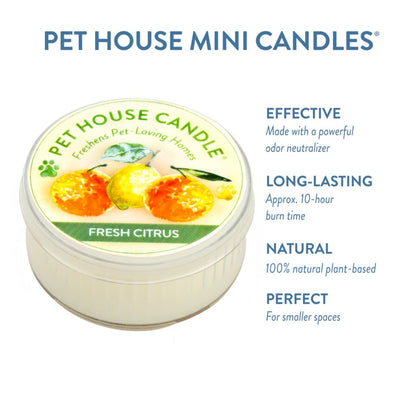Fresh Citrus Mini Candle