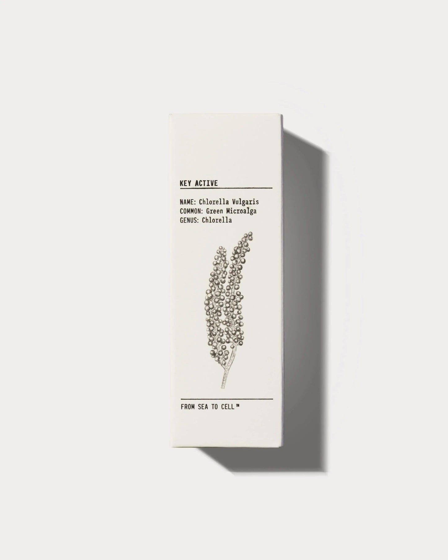 Hydrating Face Serum