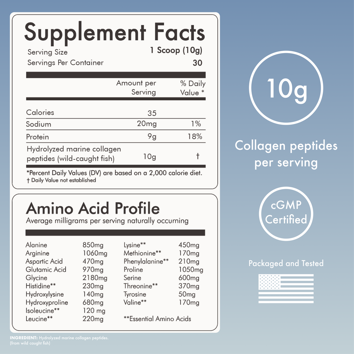 Wild-Caught Marine Collagen Peptides – Type I, II, III & IV