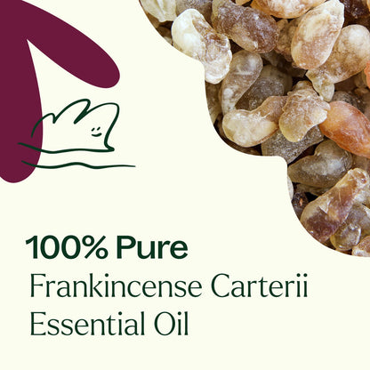 Huile essentielle de Boswellia Carterii