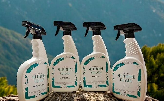 Doodlations All Purpose Cleaner - Diva