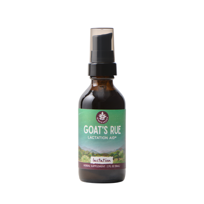 Goat's Rue Lactation Aid